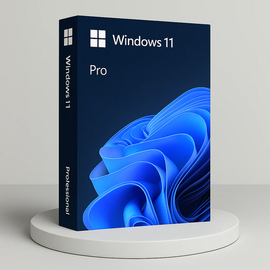 Windows 11 Pro / Lifetime